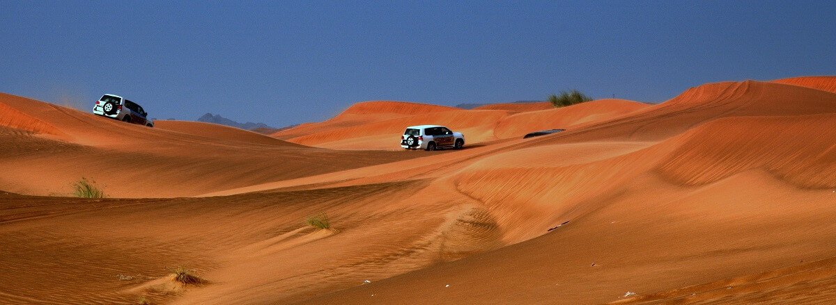 Cosa vedere a Dubai - Safari nel deserto