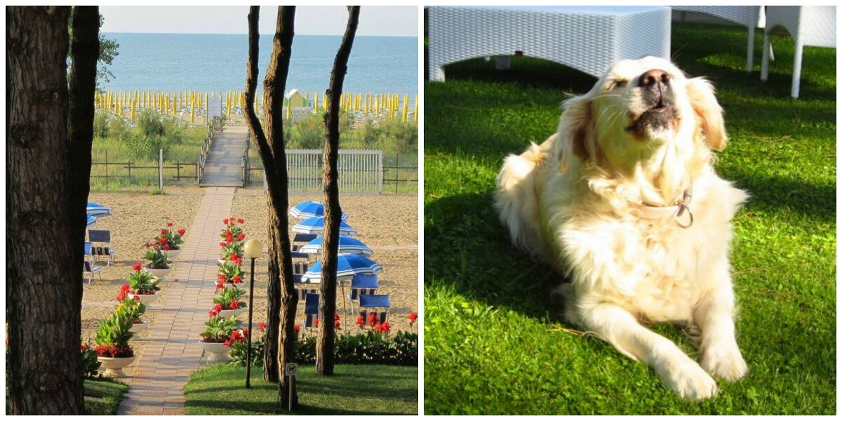 Beau Rivage Pineta