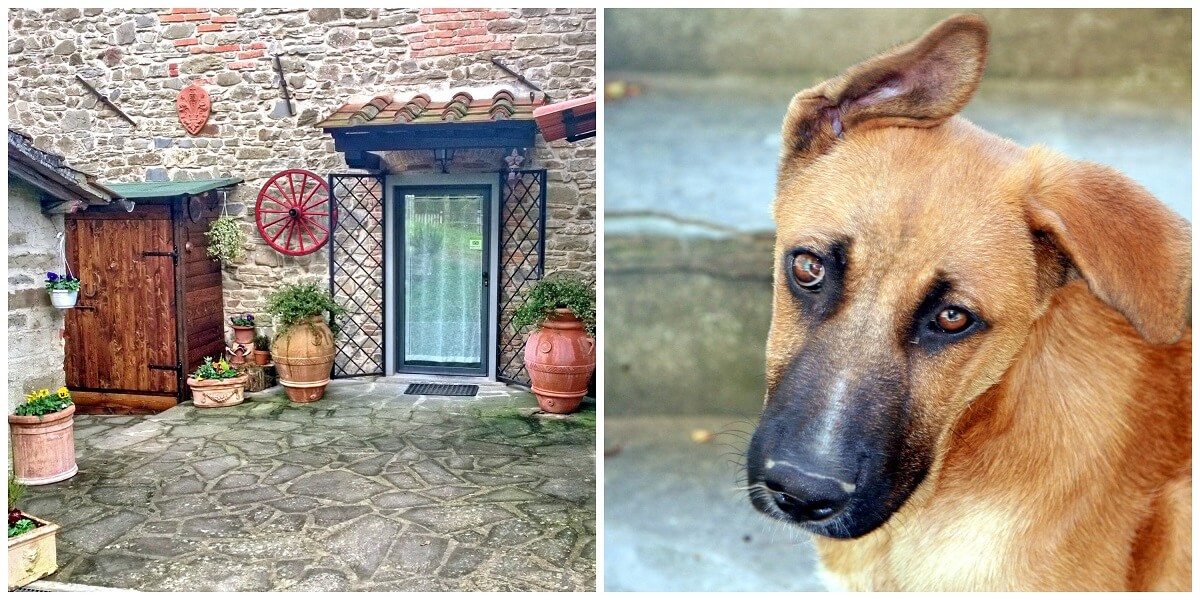 Podere La Cerreta