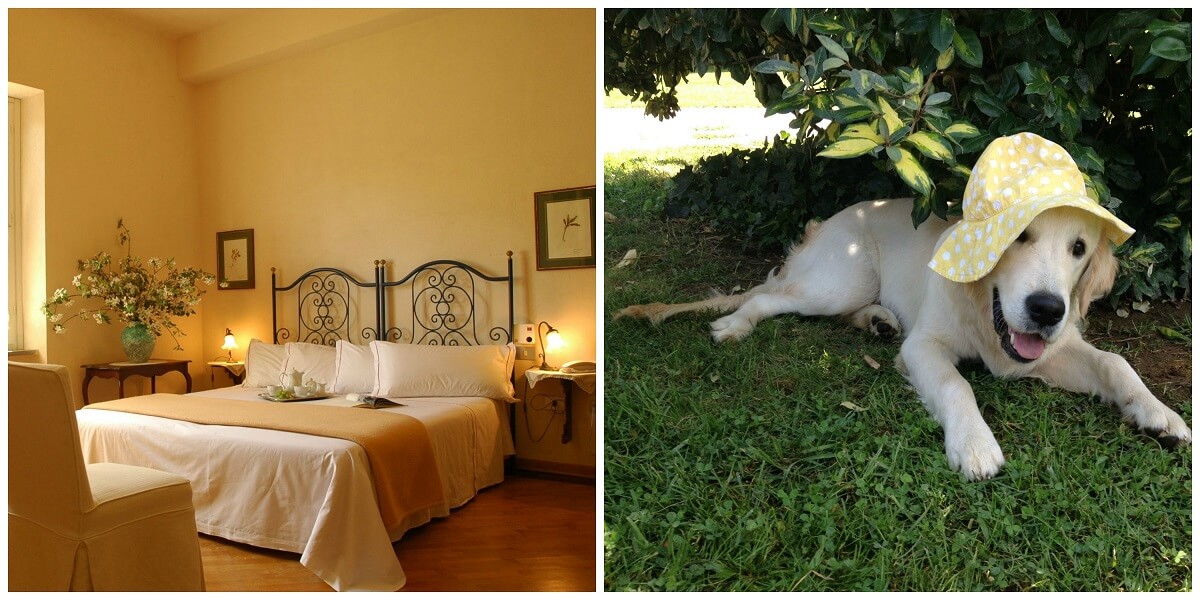 Agriturismo Montebelli
