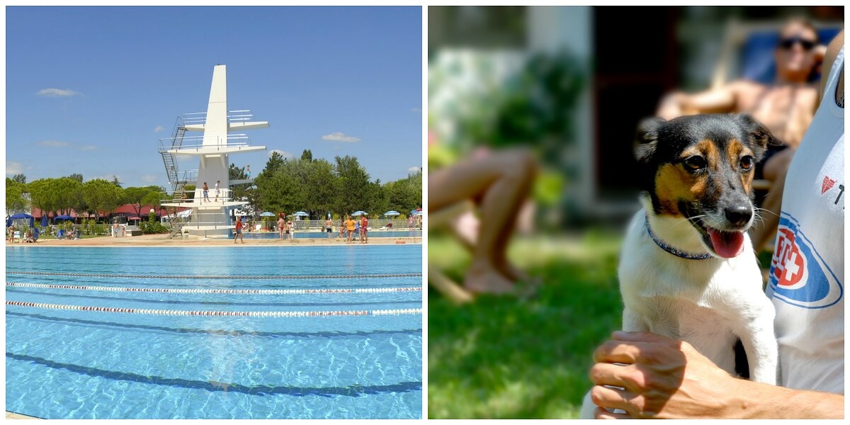 Villaggio Albatros