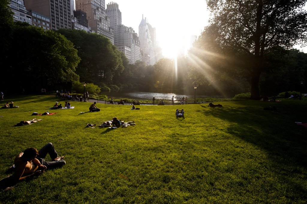 Kid-friendly activities in NYC