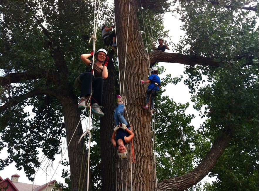 Monkey around in the trees Activities in Denver