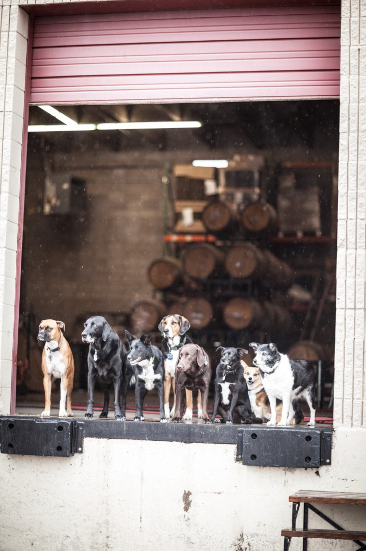 Come for the beer but be sure to try the wine too Cool guide to Denver