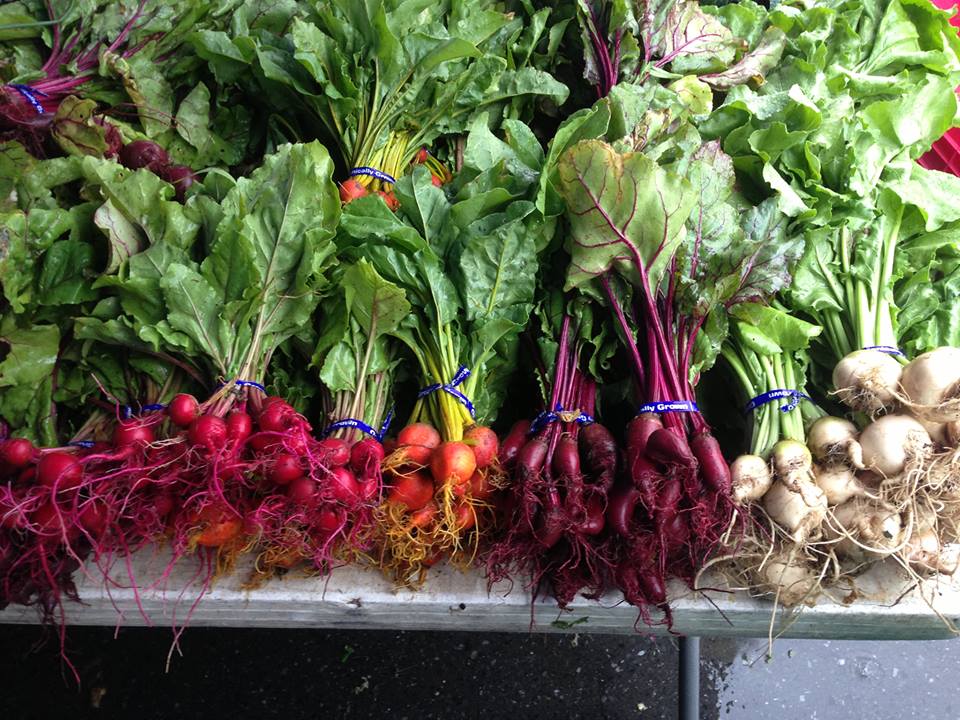Grow NYC