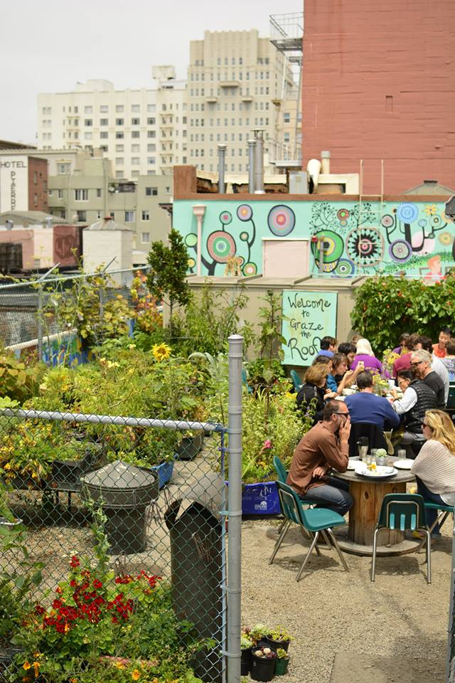 Graze Rooftop Feastly Lunch