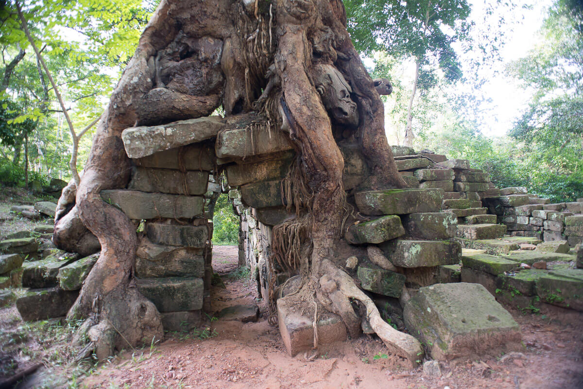 Backpacking Siem Reap Cambodian Jungle temple