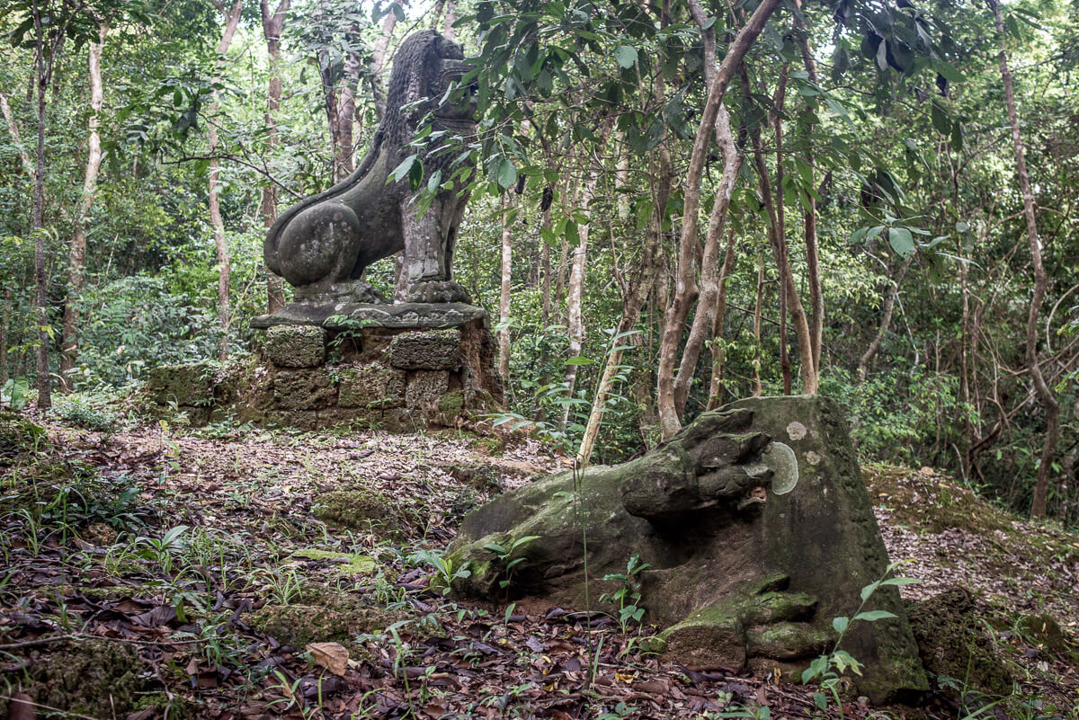 Jungle temple Cambodia temple