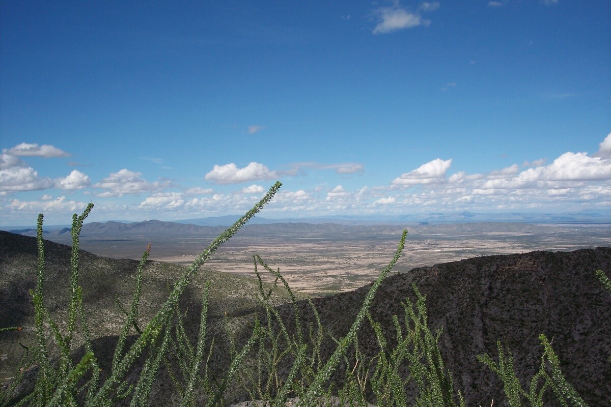 Durango Reserva Mapimí
