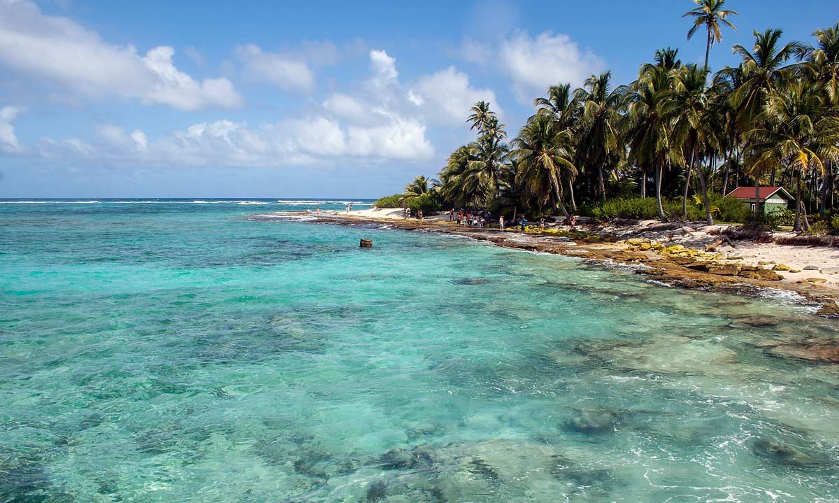 san andres ano novo