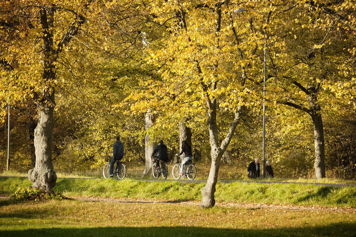 Djurgården Tukholmassa