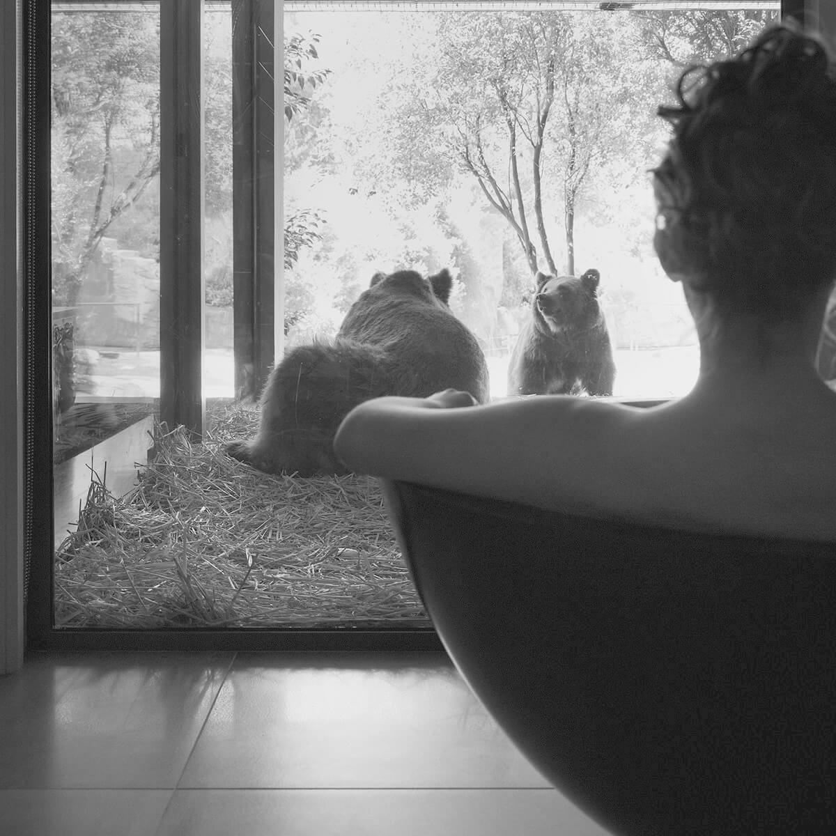 Jamala Wildlife Lodge - Australie