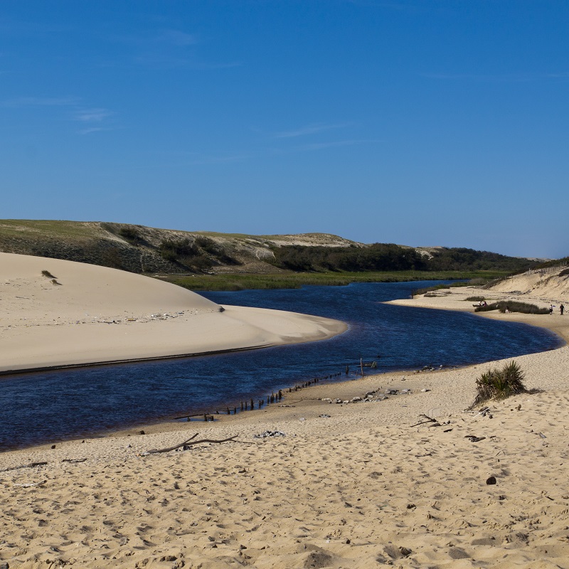Le Courant d'Huchet Moliets-et-Maa - Aquitaine - France