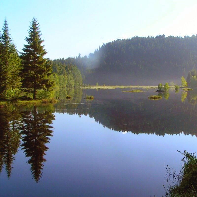 Le lac de Lispach Lac de Lispach - Vosges - France