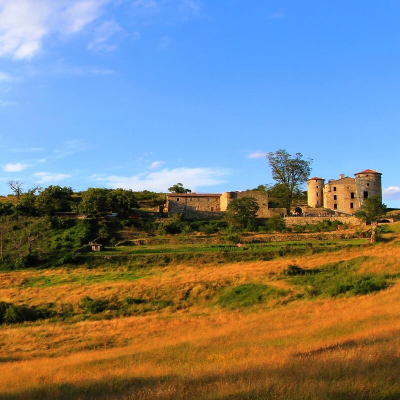 Château de Craux Château de Craux - Ardèche