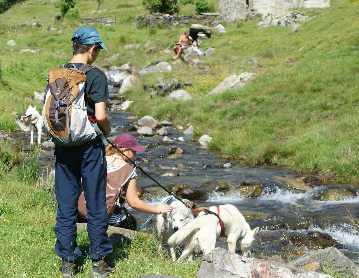 Cani Rando Balade en montagne - Loire