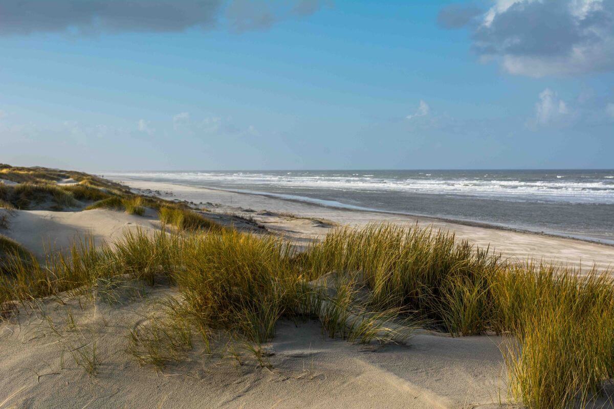 Strand vorm hundefreundlichen Hotel auf Juist