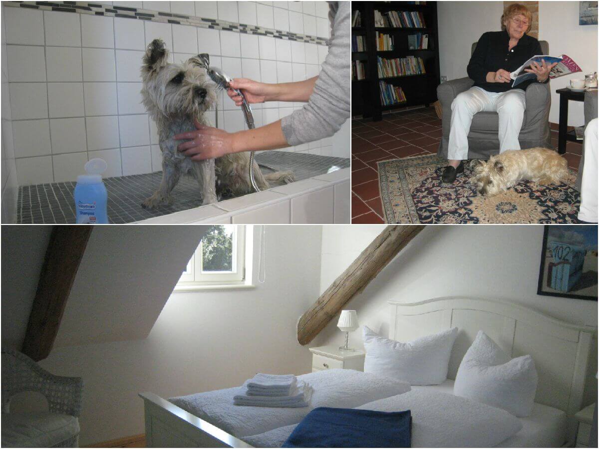 Hotel für Hunde To'n Schlagboom im Wangerland