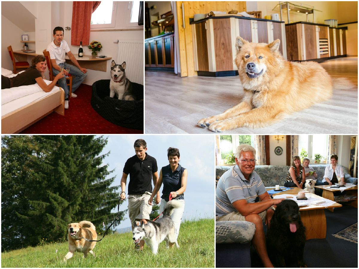 Hundehotels Deutschland