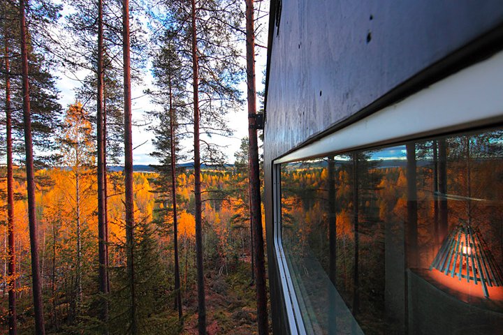 Tree Hotel