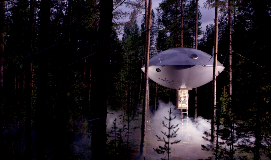 tree hotel harods svezia tree hotel harods svezia