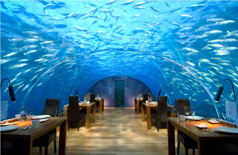 Conrad Maldives Rangali Island - Maldive - Ristorante sotto il mare