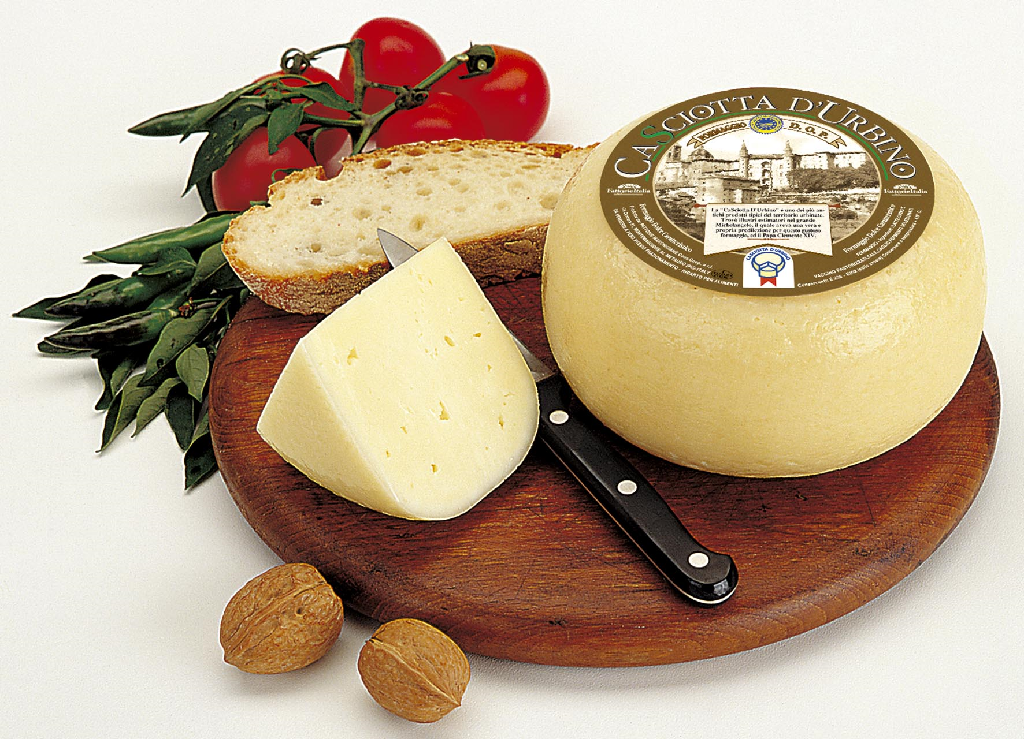 La deliziosa Casciotta di Urbino, riconosciuta prodotto DOP dal 1981.