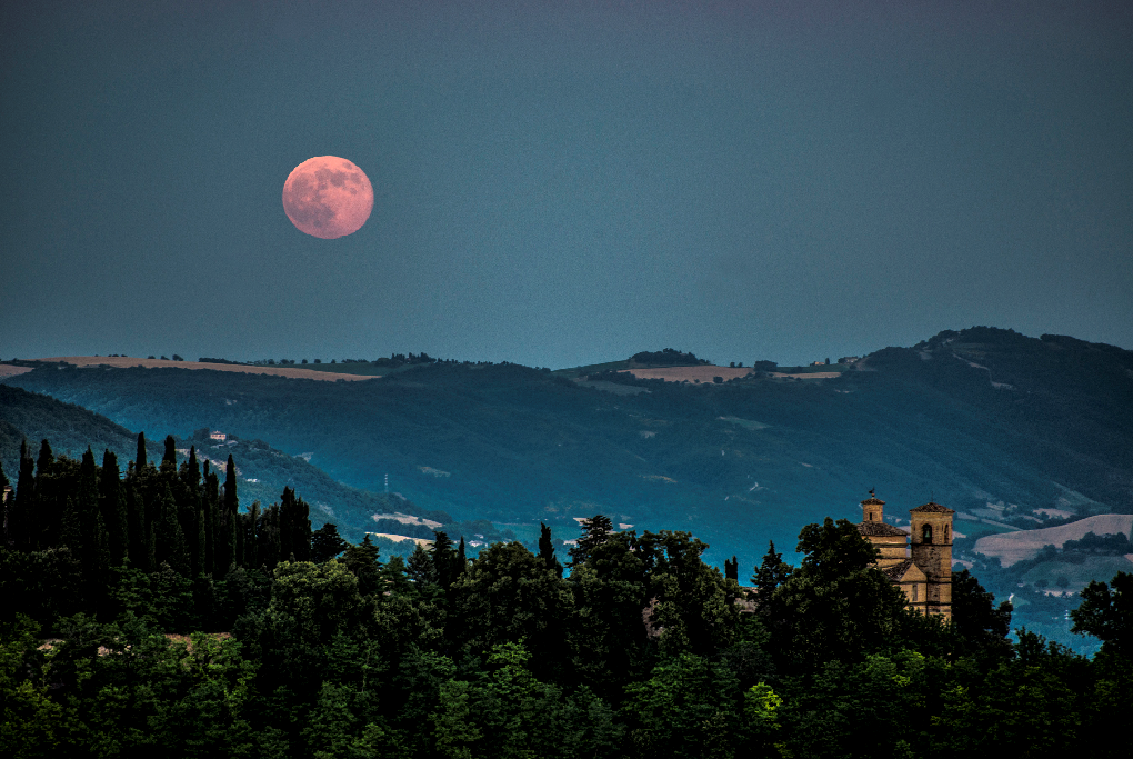 Mausoleo dei Duchi da Montefeltro. Foto Città di Urbino