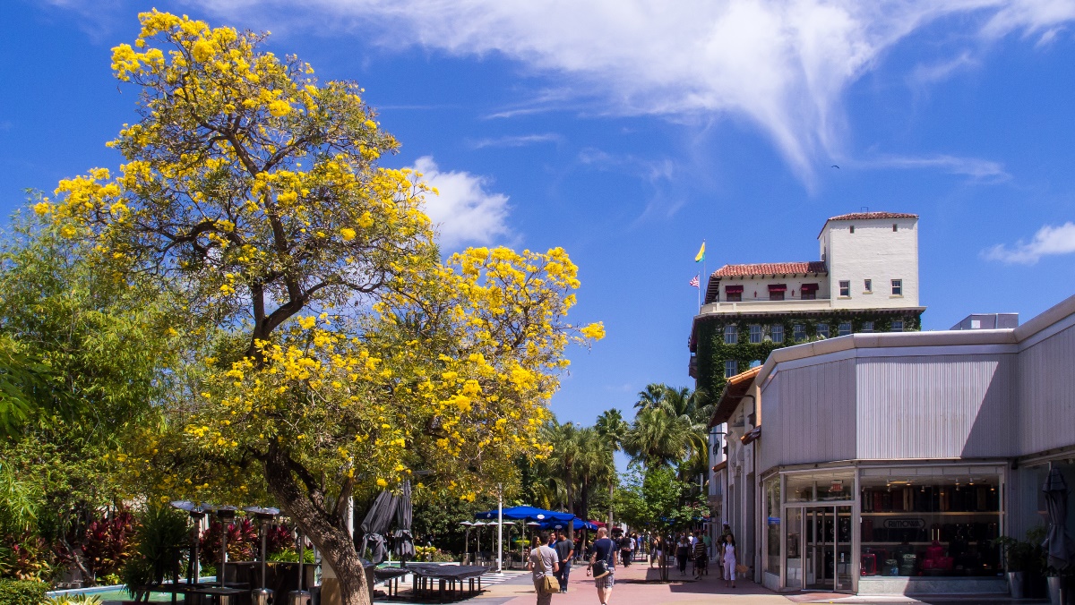 Lincoln Road Mall