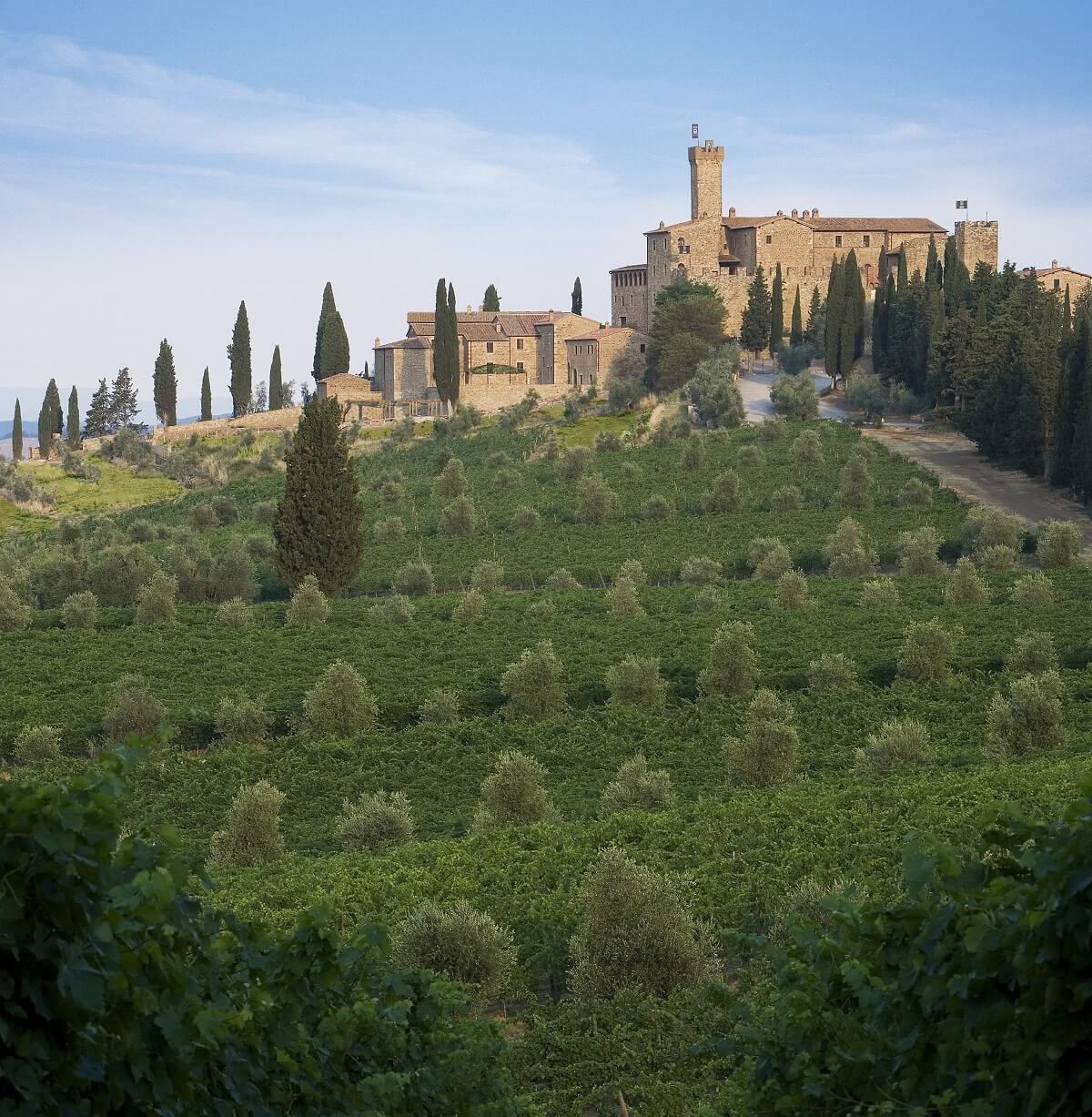 Castello Banfi - Brunello di Montalcino
