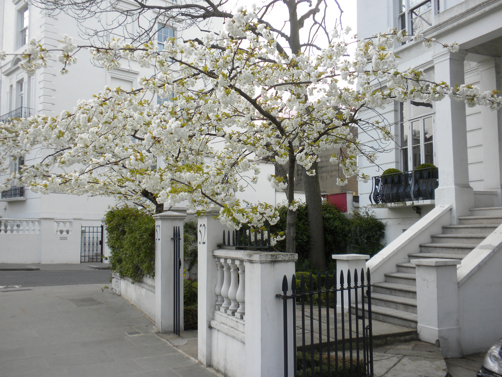 Il bianco di Notting Hill