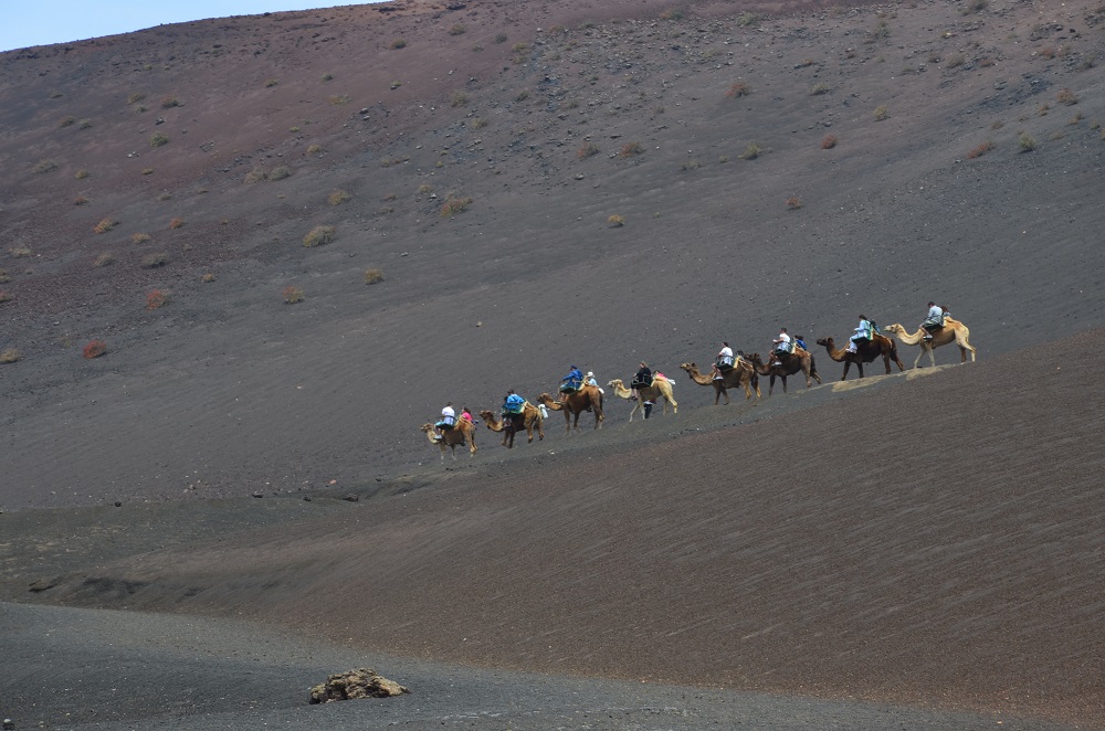 In groppa a Lanzarote