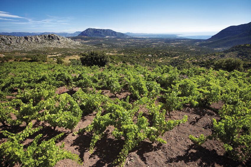 Cliccate per scoprire la Sardegna e il suo Cannonau