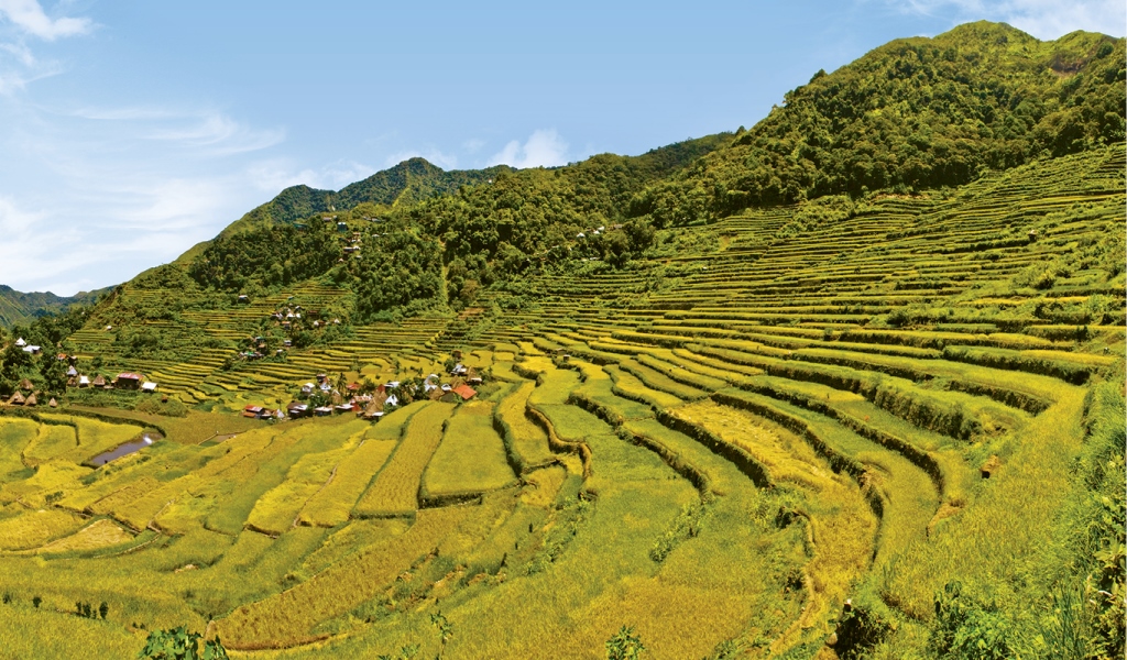Terrazze di riso a Banaue, nella provincia di Ifugao