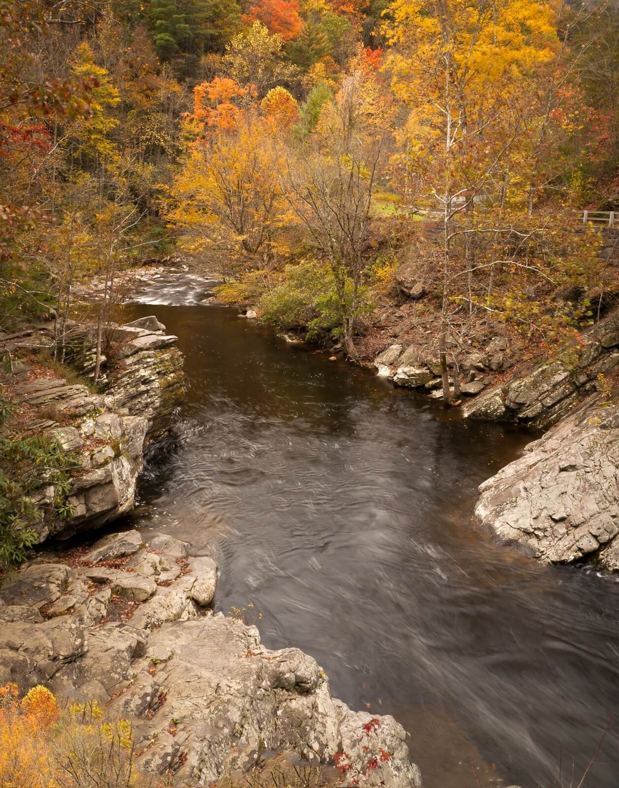 trout-smoky-mountains-fall