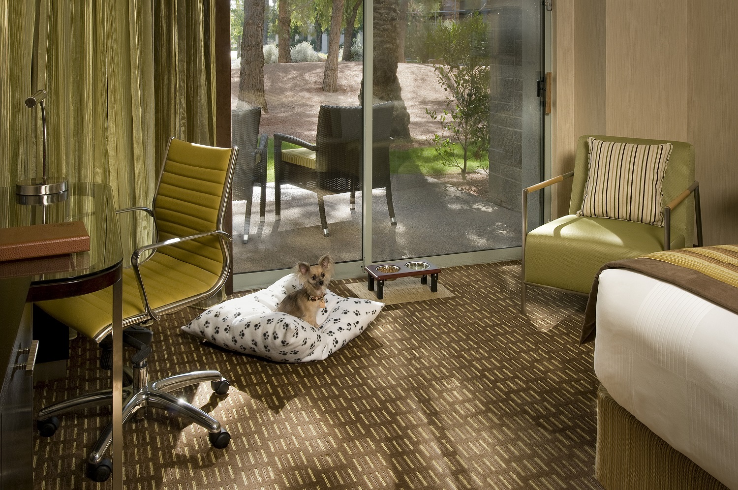 Hyatt Regency in Scottsdale, AZ is dog-friendly Dog-Friendly Hyatt Hotel Scottsdale