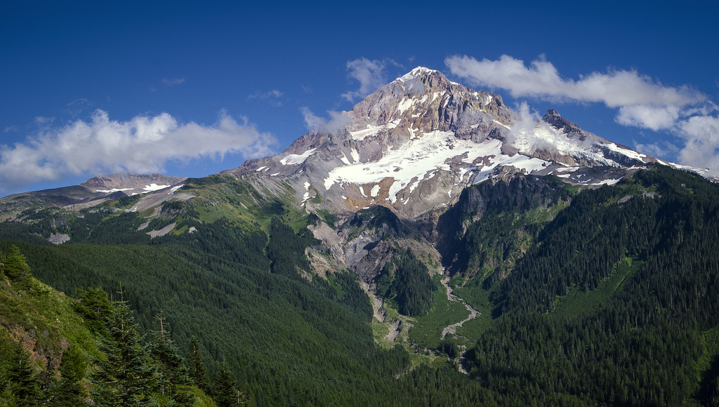 Mt. Hood