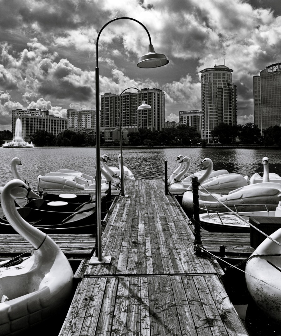 Swan Boats at Lake Eola Park Swan Boats at Lake Eola Park