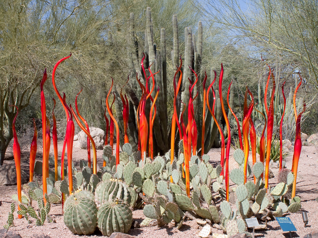 Cihuly Gardens and Glass Exhibit