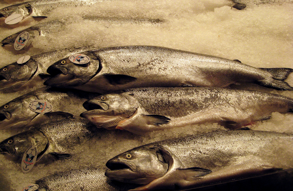 Pike Place Market Seattle Travel Guide