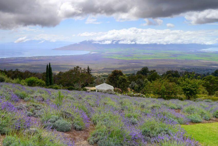 Pisces will love the calm of Hawaii Hawaiian retreat