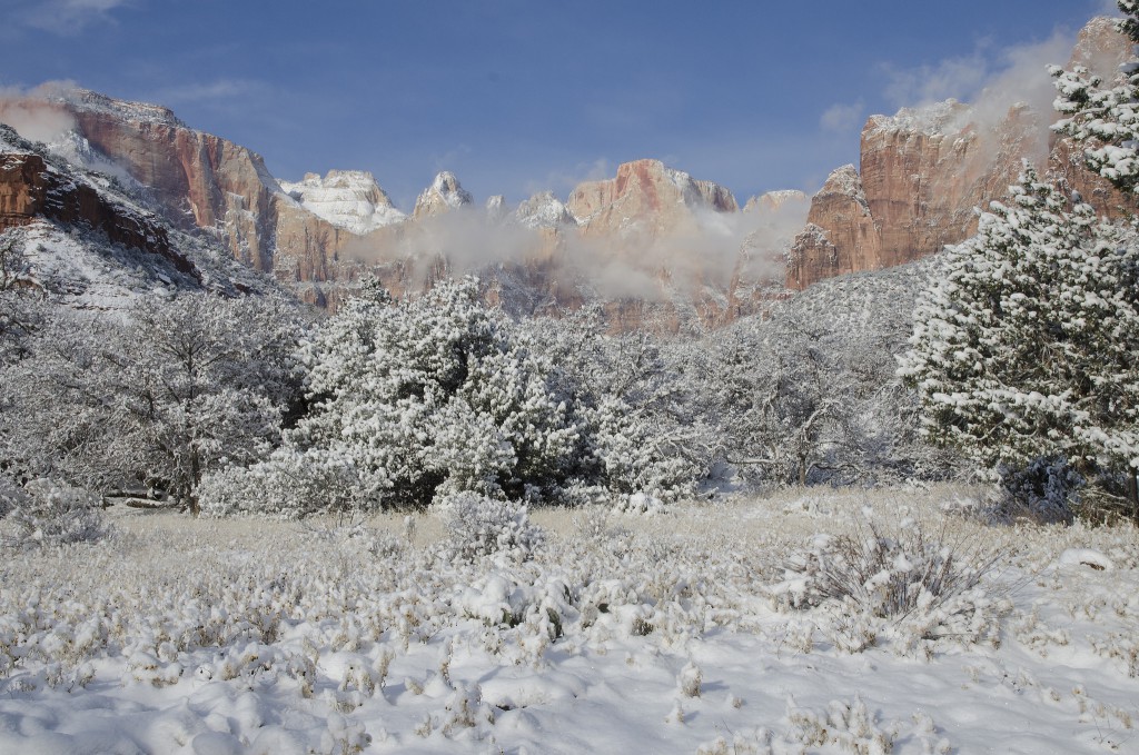 Winter or summer - Zion is stunning!