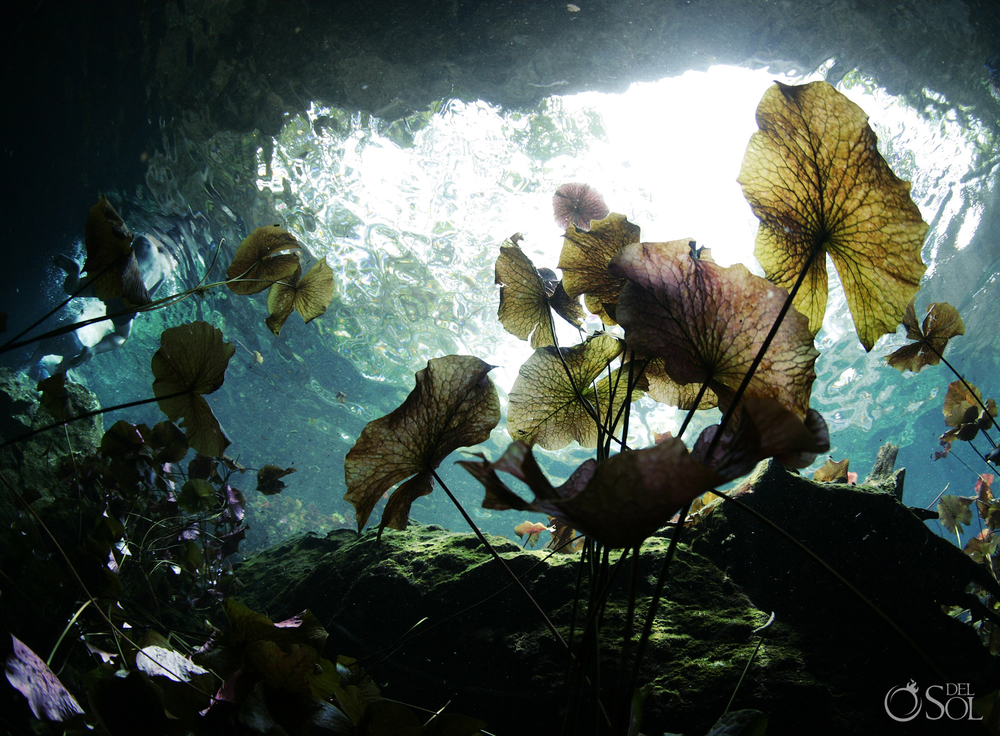 Del Sol Photography Cenotes Cancun