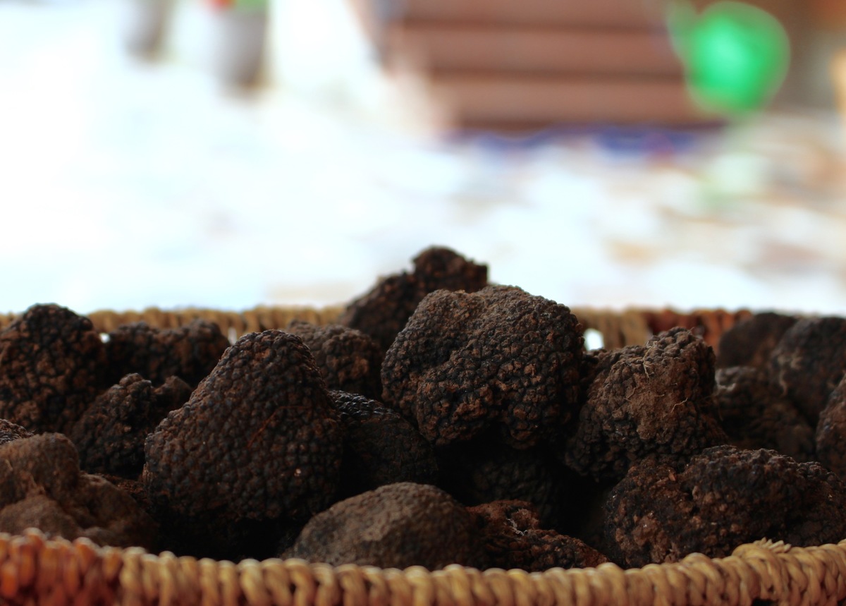 Summer Truffles at Karlic Tartufi 