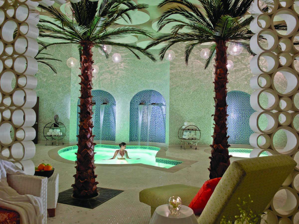 Palm Springs Spa Terre 