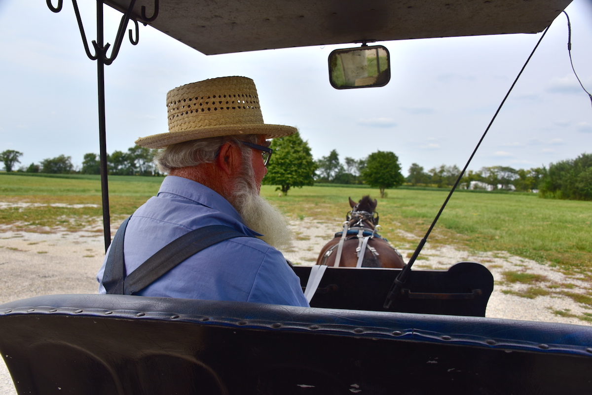 Amish Carriage Ride 