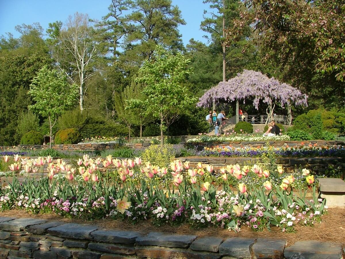 Gardens in Durham 