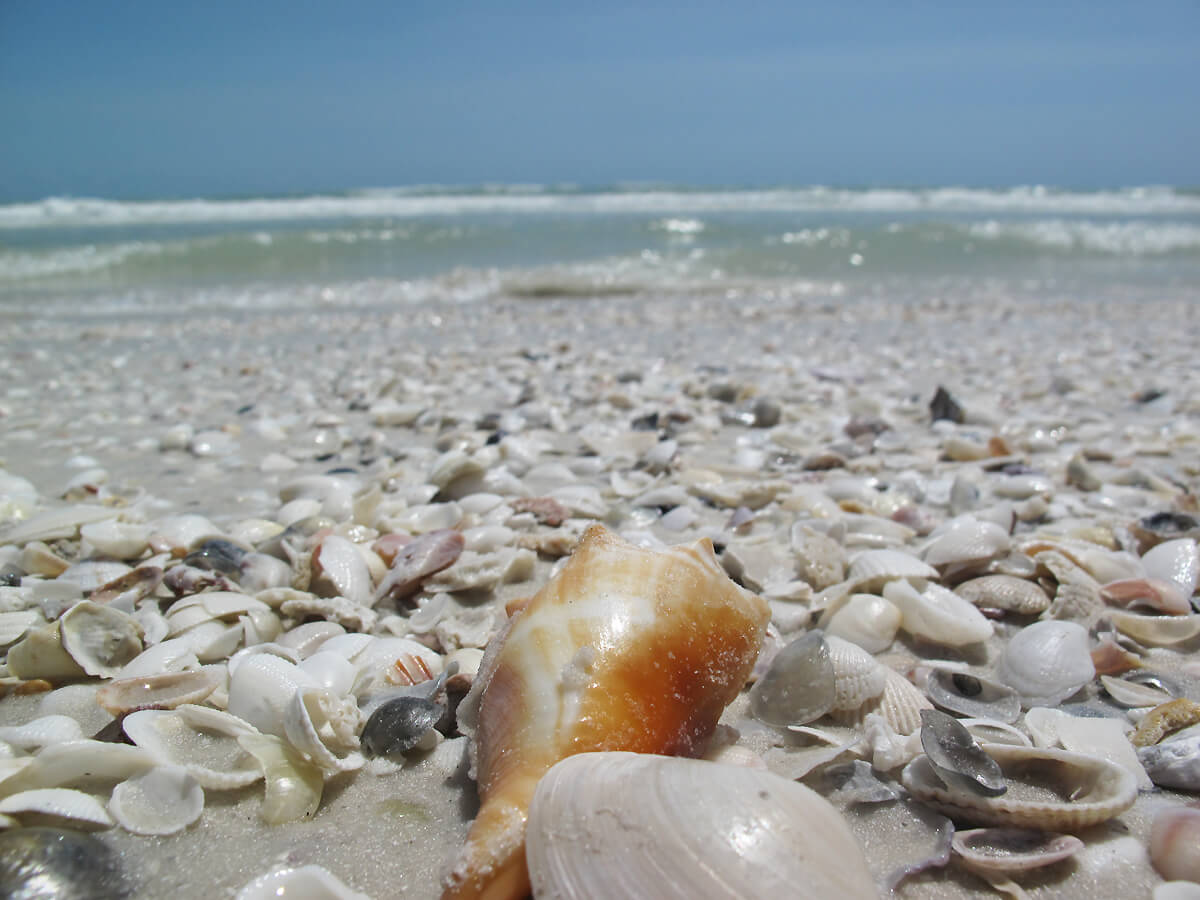 Winter beach holidays marco Island winter escape