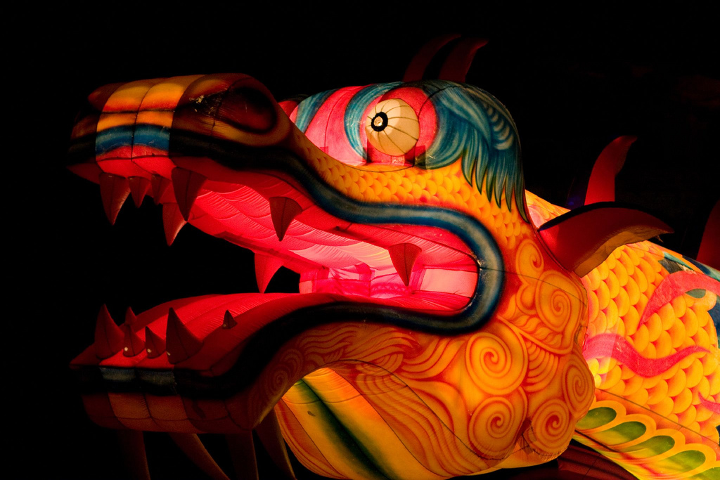 dragon port aventura