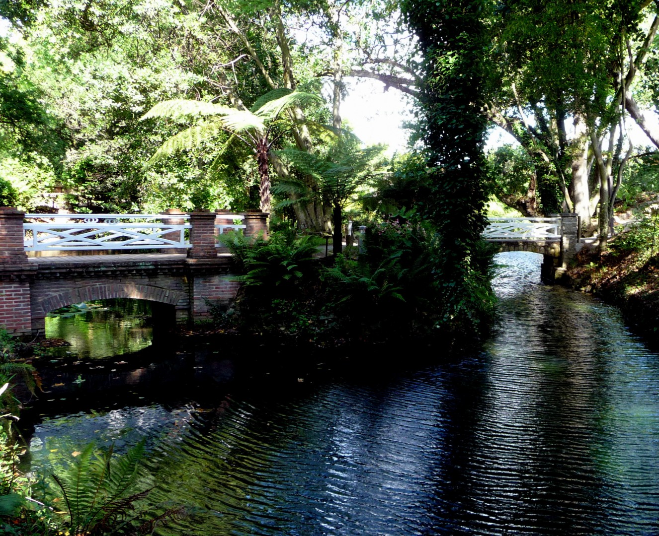 Estanque del Jardín Botánico Atlántico de Gijón.